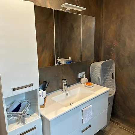 Lejlighed Schwanenstadt