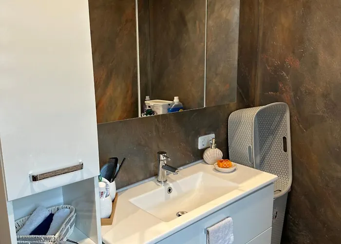 Lejlighed Schwanenstadt